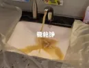 龍頭驗出退伍軍人菌... 楊梅 中山北路 洗管路 (管乾淨)