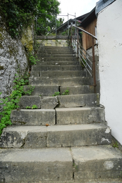 54.jpg
