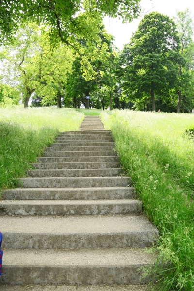 56.jpg