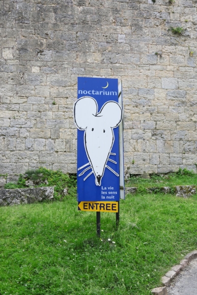 67.jpg