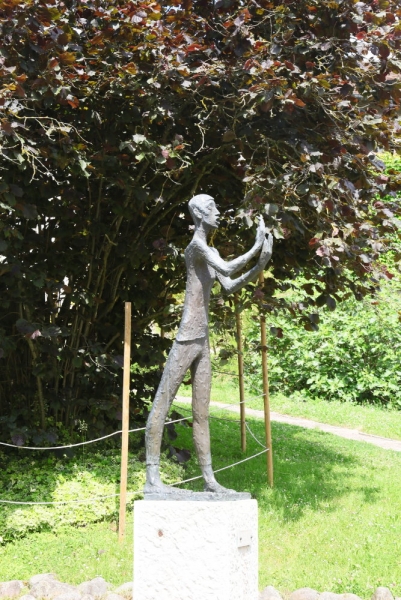 77.jpg