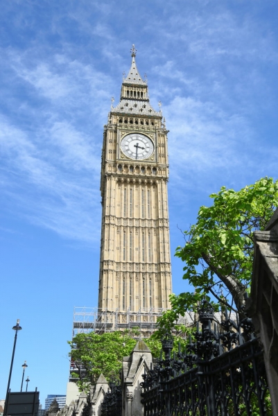 265.jpg