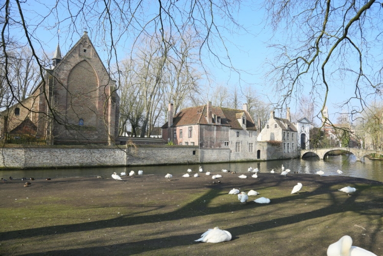 24.jpg