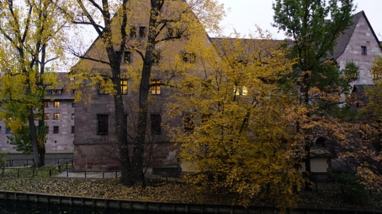 _DSC5901.JPG