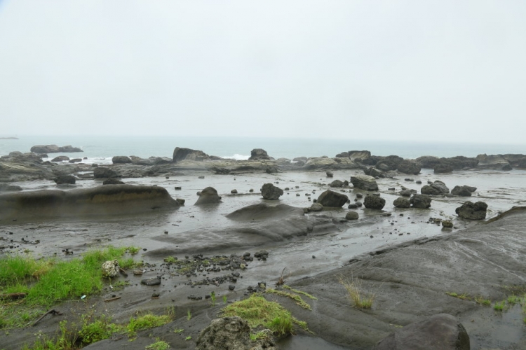 H23A8395.JPG