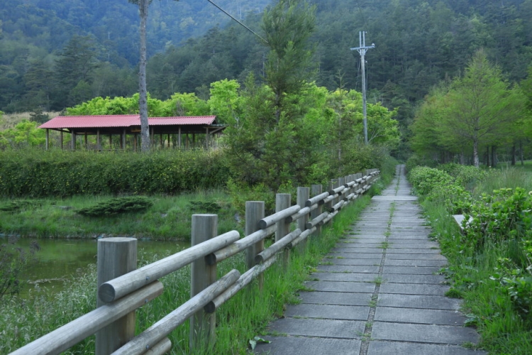 合歡山 武陵農場