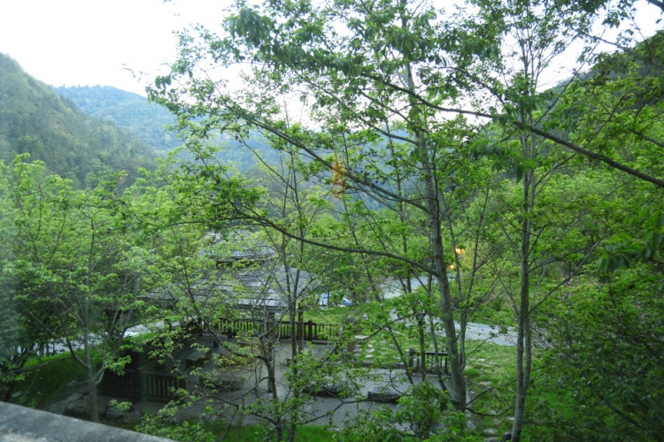 合歡山 武陵農場