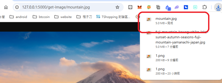 Flask send_from_directory path 參數